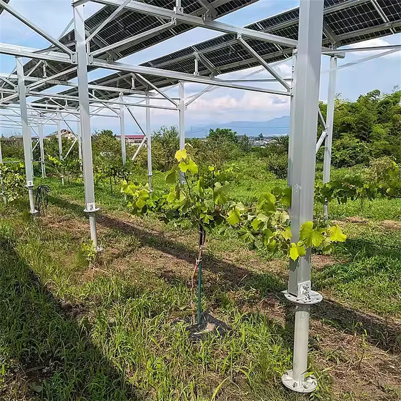 Fazenda Solar Híbrida Suporte Solar Usina Solar Montagem Bateria Solar Sistema de Armazenamento de Energia