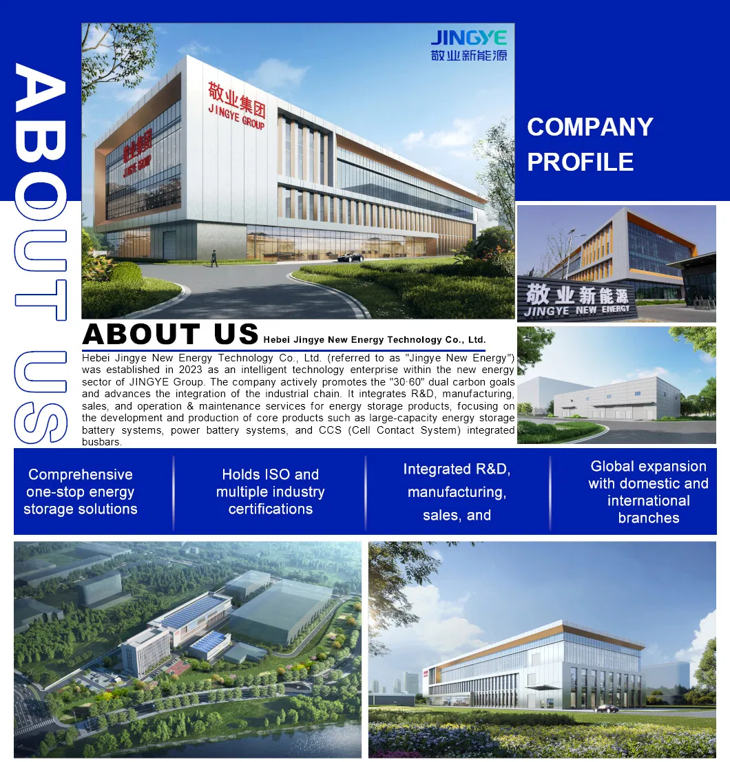 Energy Storage System Company Profile