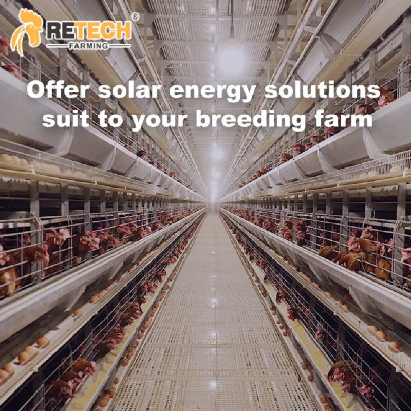 Sistema de Energia Solar Sistema de Armazenamento Híbrido Kit Completo Sistema de Gestão com Bateria e Painéis para Fazendas de Aves