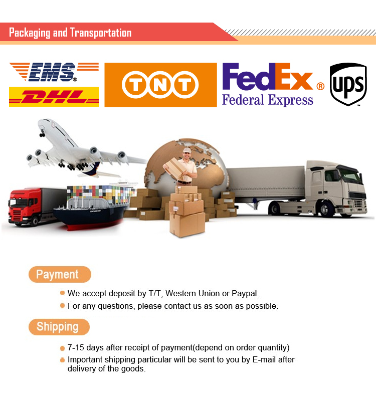Shipping Logistics