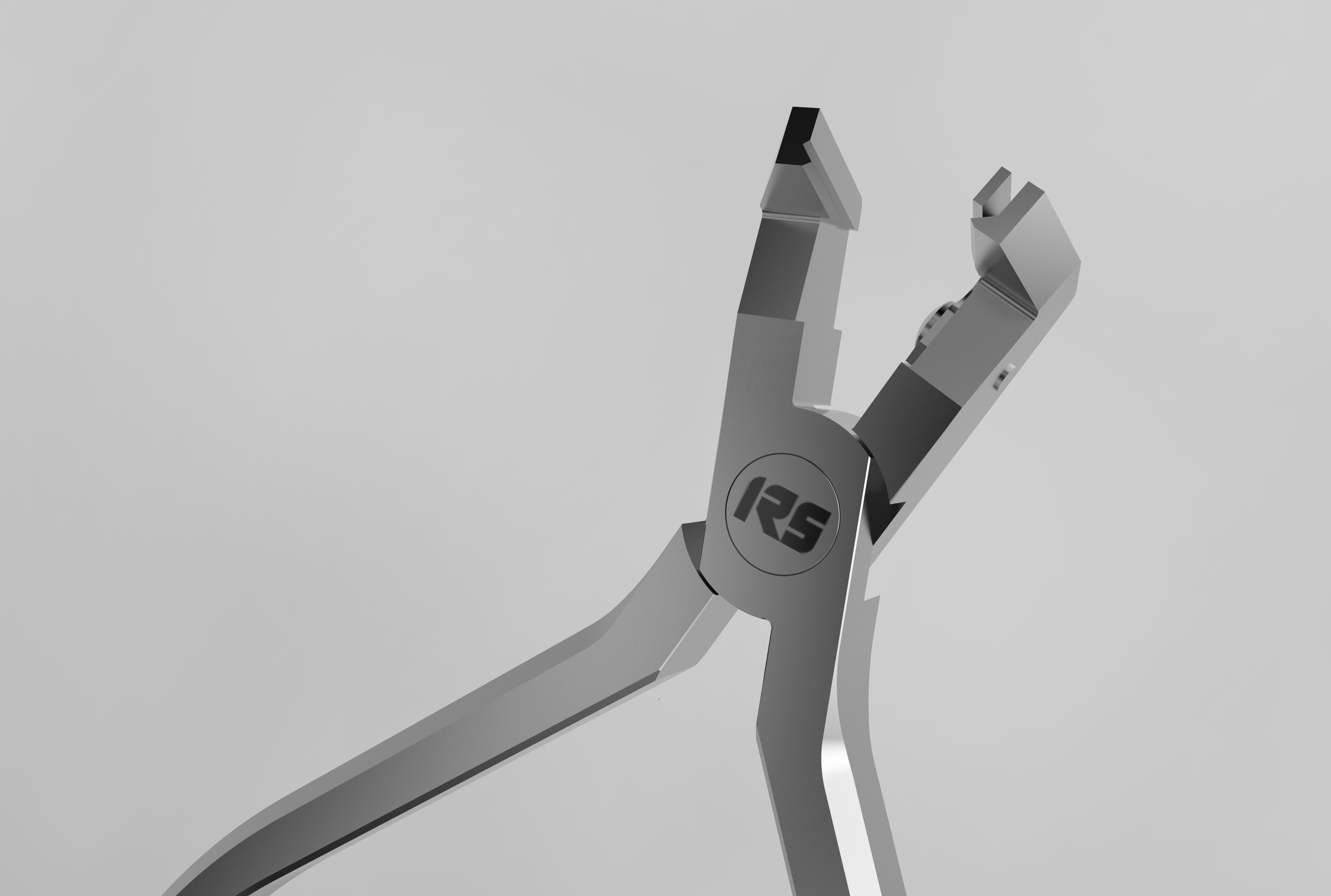 Orthodontic Detail 2