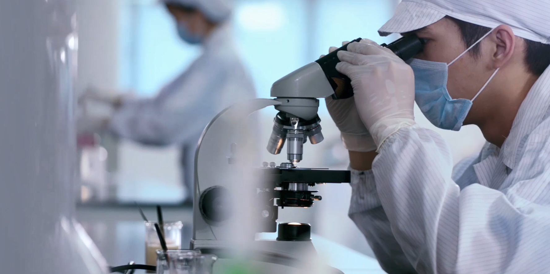 Chroma Lenses manufacturing facility — automated contact lens production lines in cleanroom environment