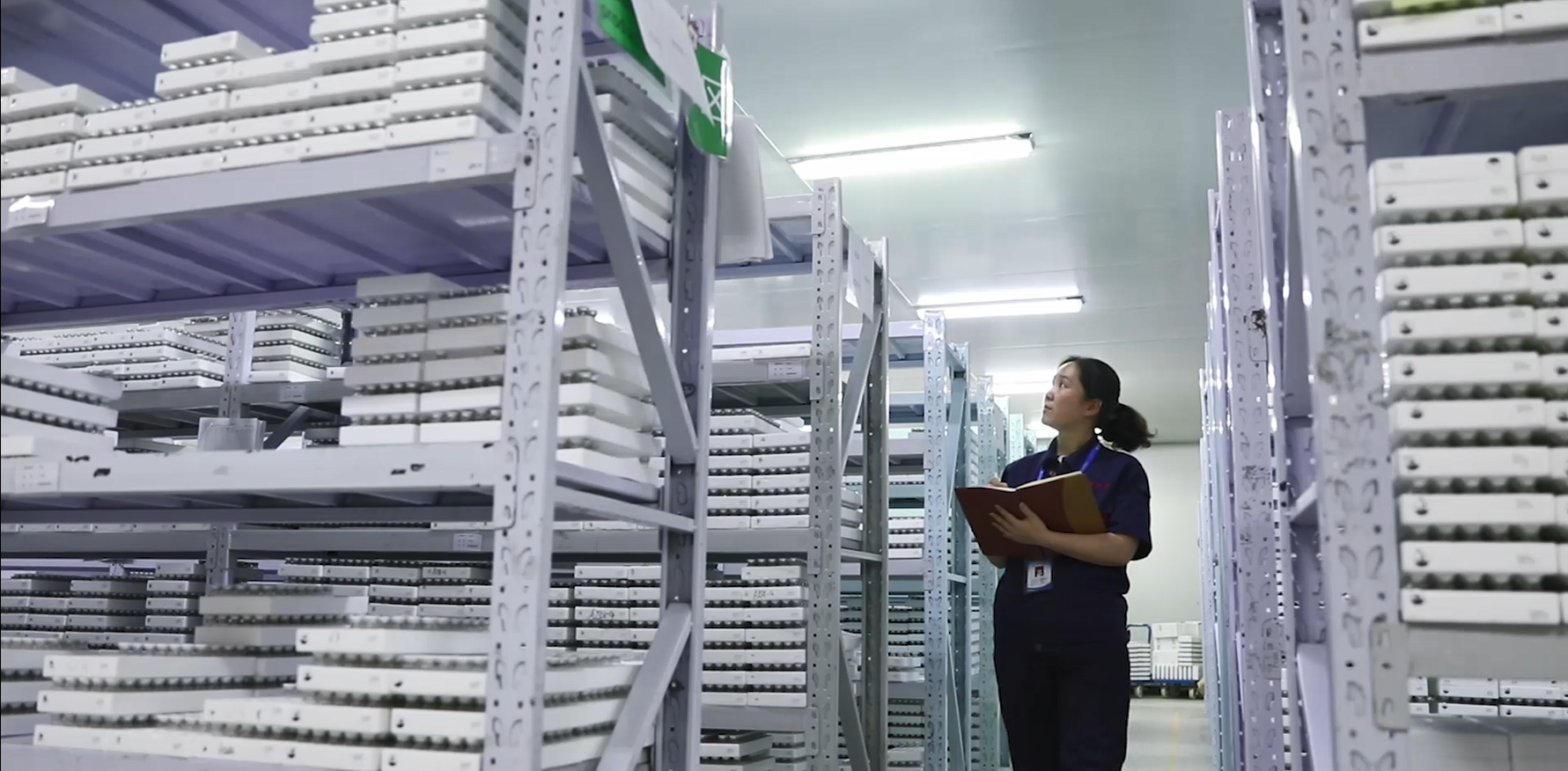 Chroma Lenses quality assurance — precision optical inspection of colored contact lenses