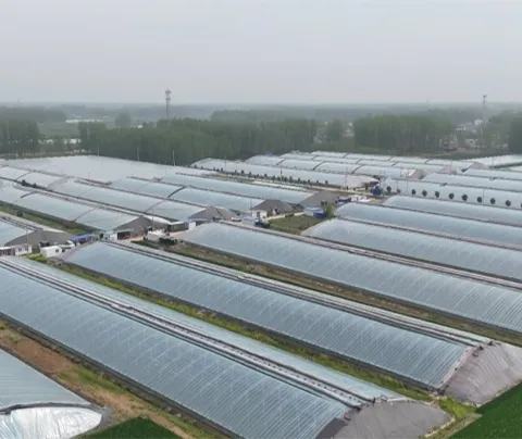 Invernaderos y secado de madera