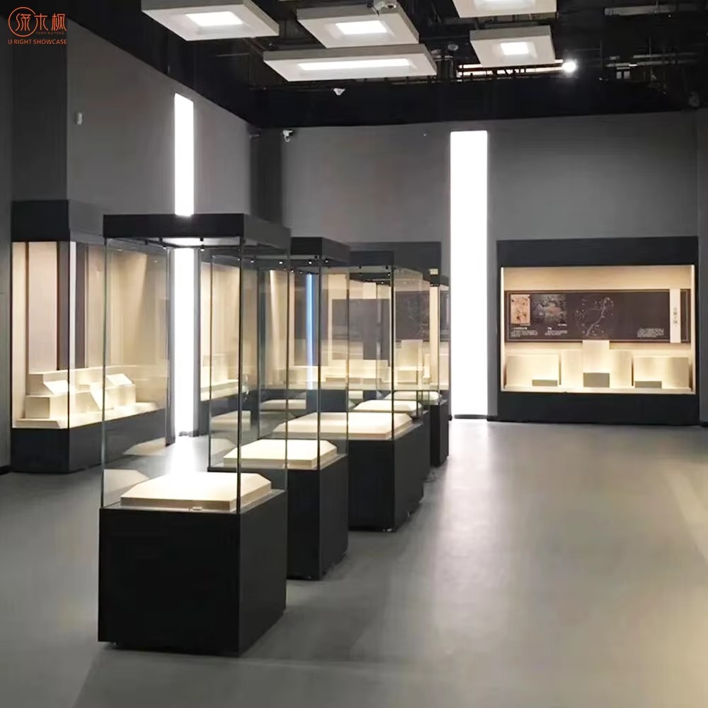 Display Showcase Case 2