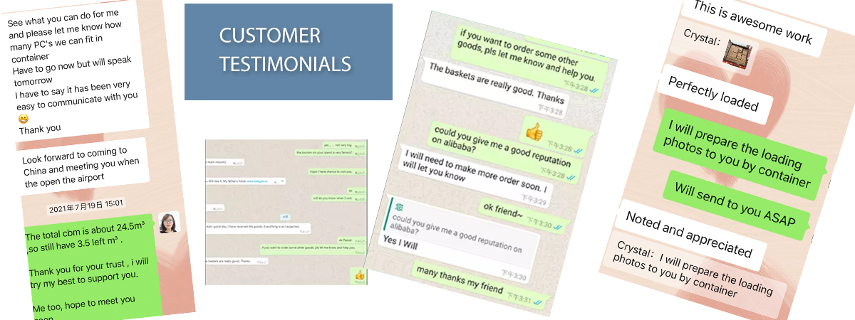 Client Review and Feedback