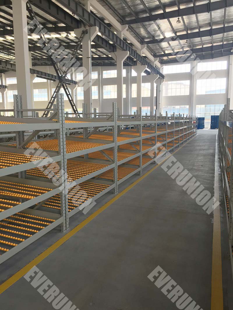 5-Layer Gravity Flow Roller Racking System Carton Flow Racks