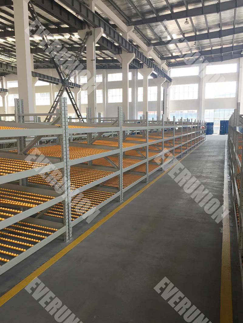 5-Layer Gravity Flow Roller Racking System Carton Flow Racks