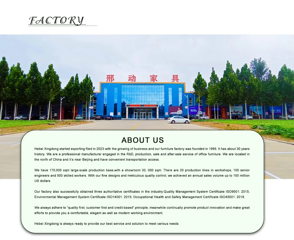 Company Overview