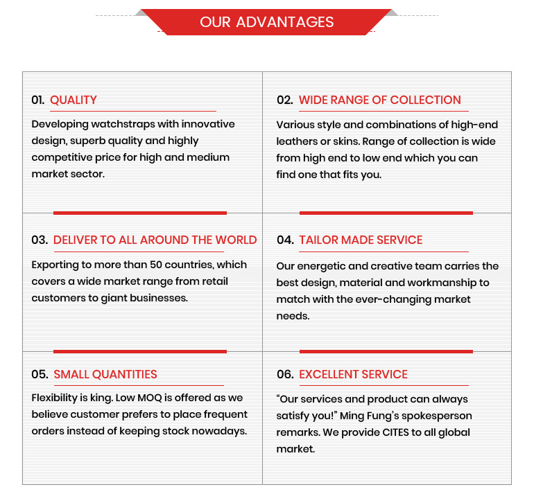 Our Business Advantages