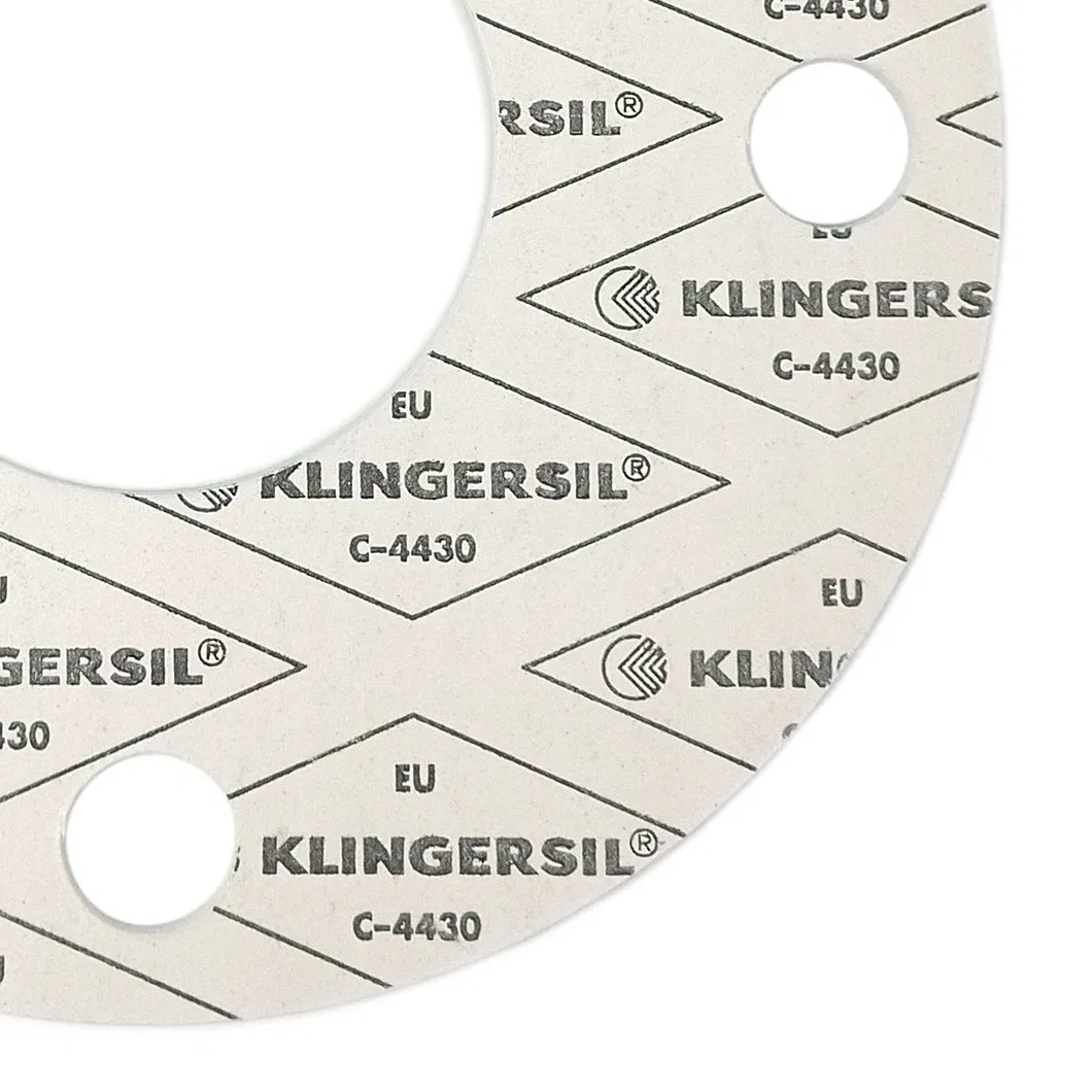 ASME B16.5 Gasket for Oil Pipeline Flange Detail 2