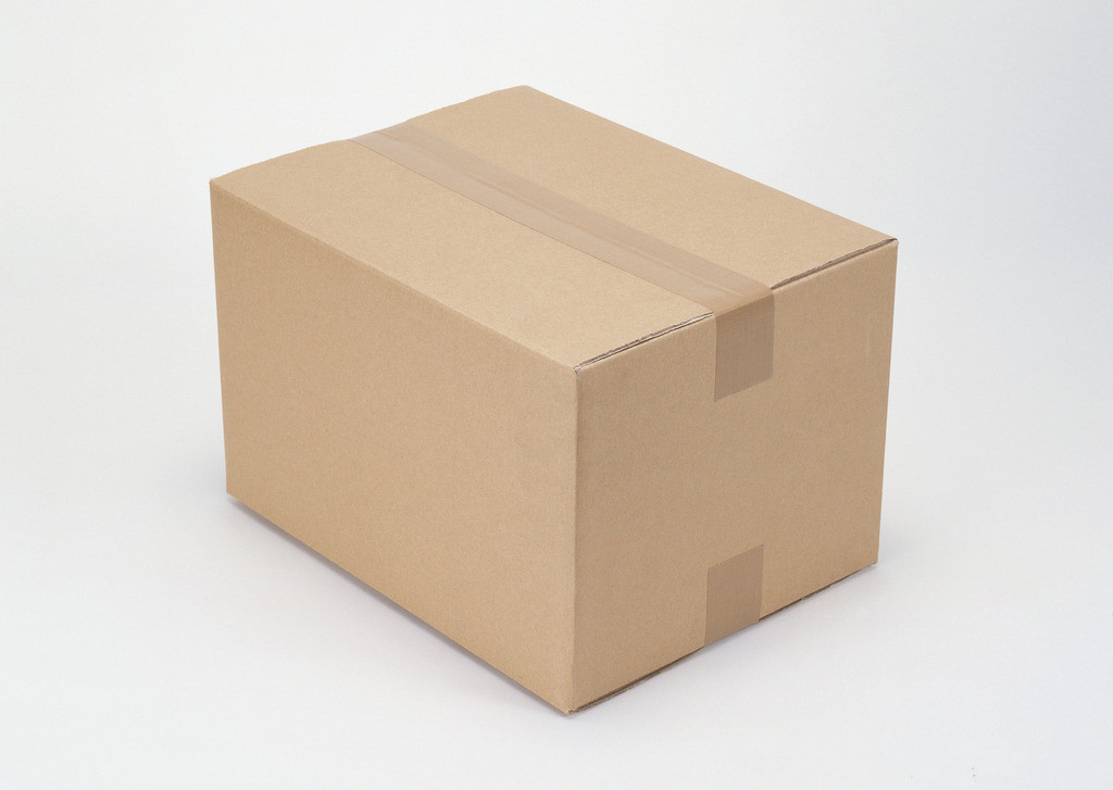 Shipping Carton and Delivery Box
