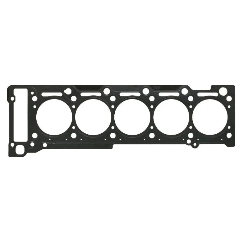 Multifunctional Cylinder Head Gasket View