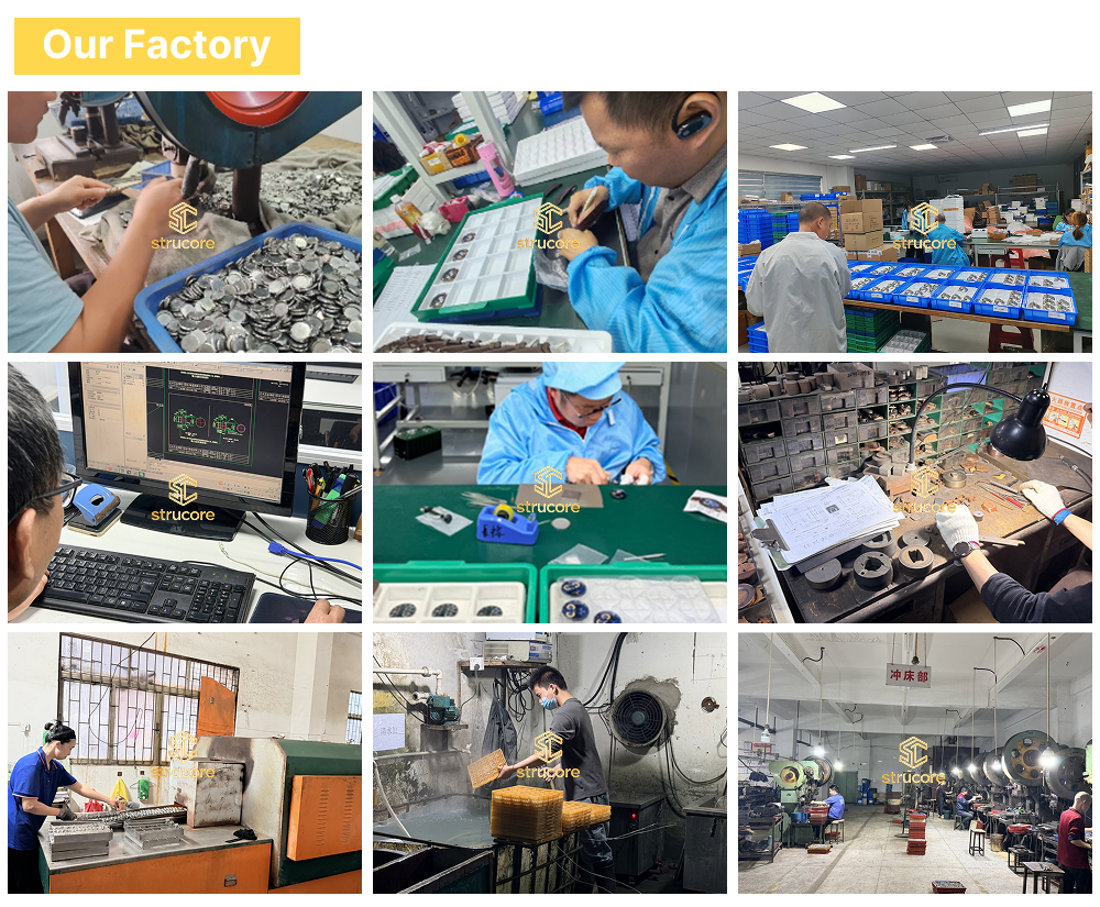 Assembly Process