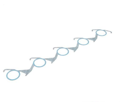 Factory Wholesale Auto Intake Manifold Gasket 6021410880 for Benz Sprinter