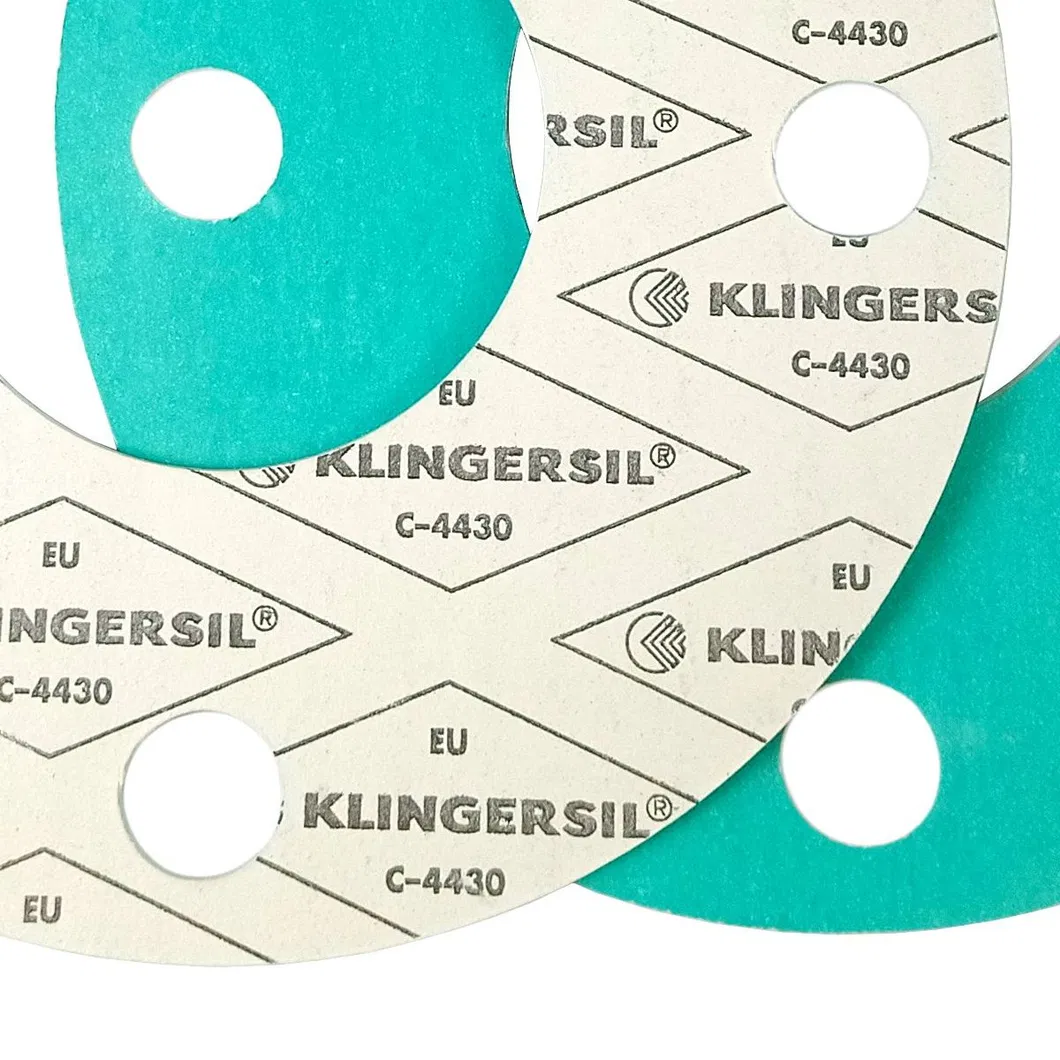 ASME B16.5 Gasket for Oil Pipeline Flange Detail 1