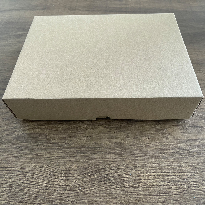 Custom High Quality 316L Stainless Steel 2.5mm Diameter Watch Spring Bars Packaging