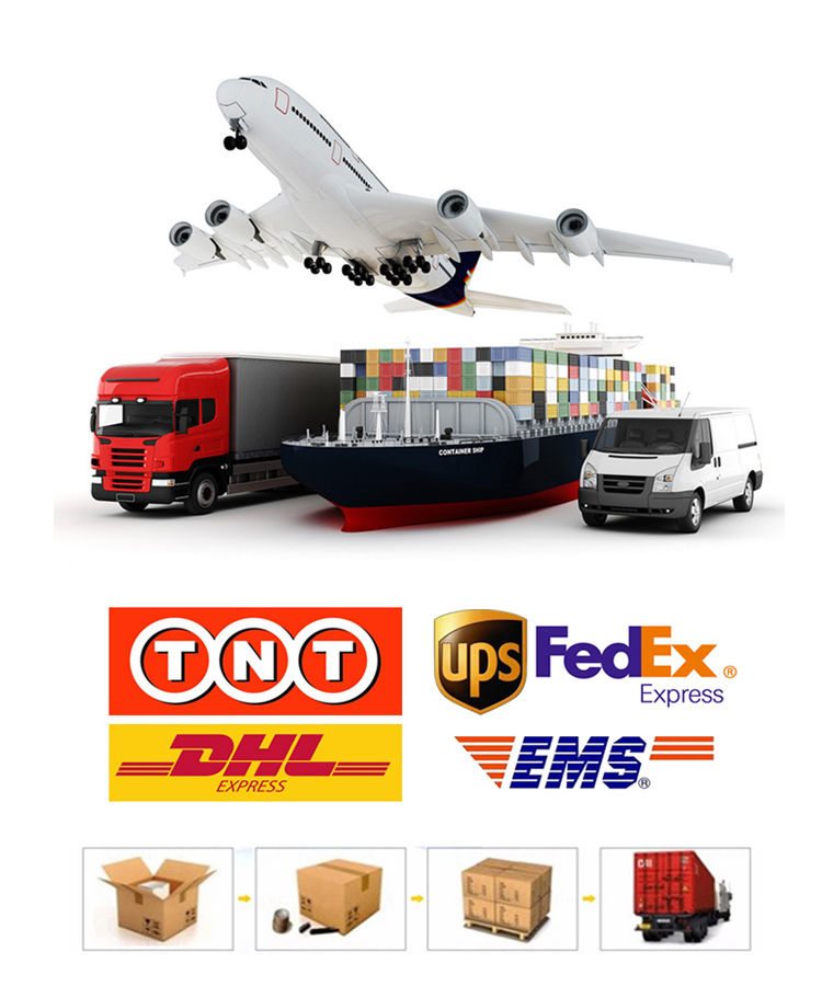 Payment and Transport Option 1