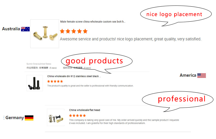 Customer Reviews Showcase