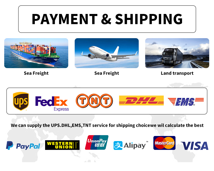 Payment and Shipping Options