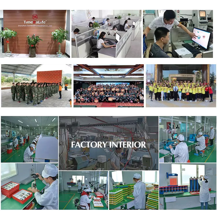 Company Showcase 1