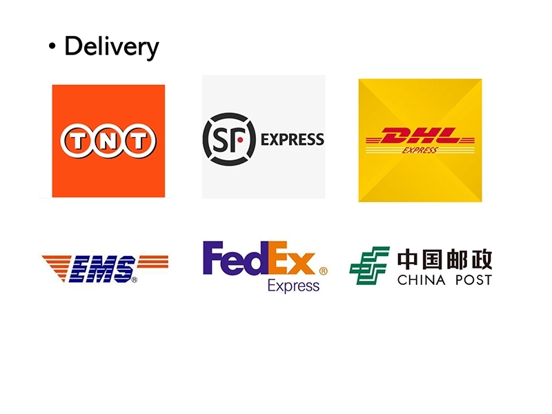 Global Delivery Logistics