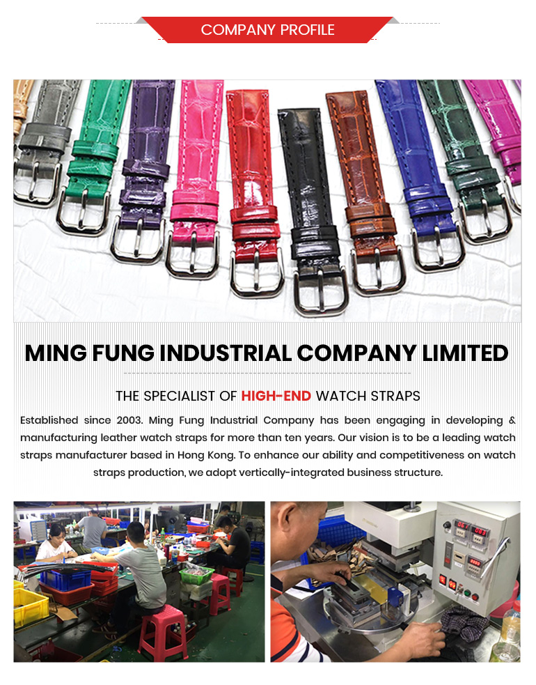 Company Profile and Factory Overview
