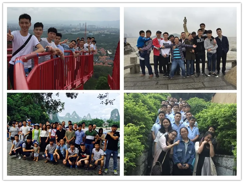 Professional Engineering Team Group Photo