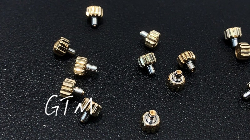 Detailed Watch Part
