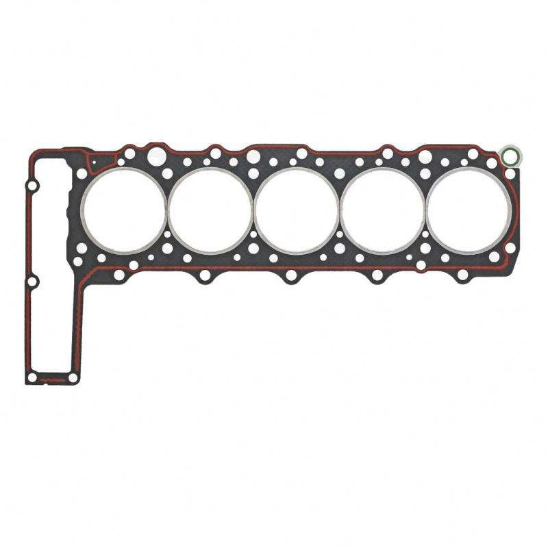 Hot Selling Mercedes Car Auto Cylinder Head Gasket 6010163320 for Benz Sprinter