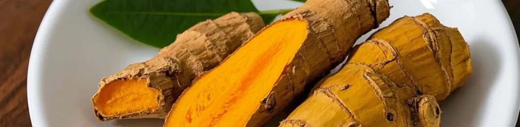 مستخلص الأعشاب الطبيعية مسحوق مستخلص النباتات مستخلص الكركم 10: 1for الصحة