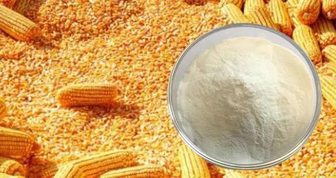 مسحوق ببتيدات الذرة