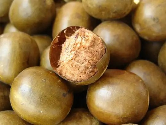 مستخلص موغروسيد السوبر الحلو، محلي طبيعي نهائي لعشاق اللياقة البدنية