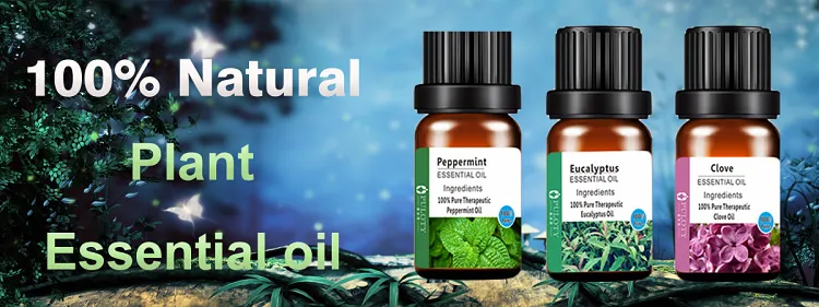 مواصفات زيت بذور الكتان