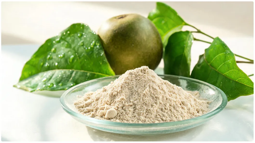 مستخلص فاكهة الراهب للطعام الصحي محلي Mogrosides 80% Mogroside