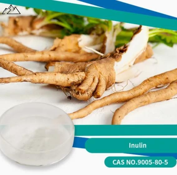 مكونات الطعام ألياف غذائية طبيعية قابلة للذوبان في الماء رقم التسجيل: 9005-80-5 إينولين