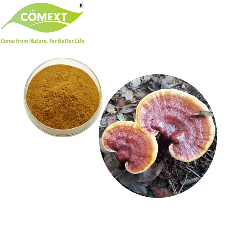 100% مسحوق فطر الريشي العضوي الطبيعي مستخلص نبات الغانودرما