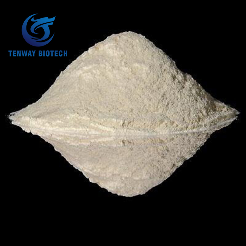 درجة الطعام E415 صمغ زانثان 200 مكثف وشامل 25kg