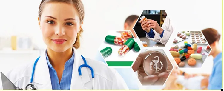 تزويد المصنع مسحوق مجفف بالتجميد لفقدان الوزن بروبيوتيك لاكتوباسيلس بلانتاروم