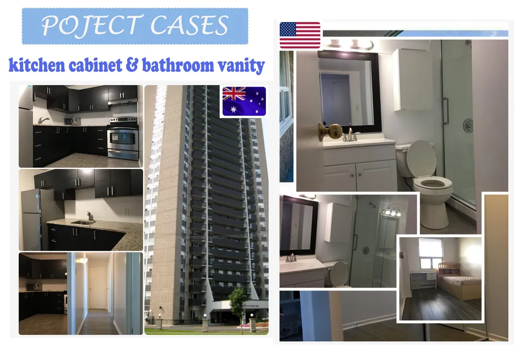 Project Case Display