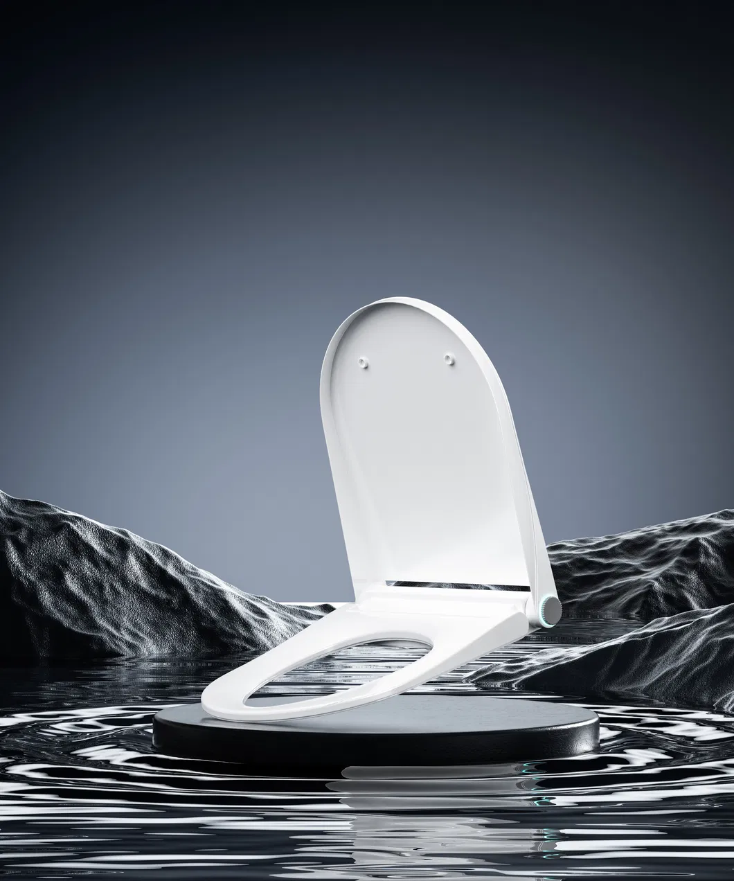 Smart Toilet Seat Detail