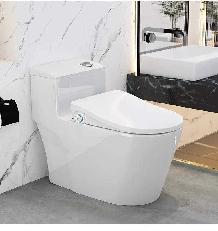 Smart Bidet Feature 1