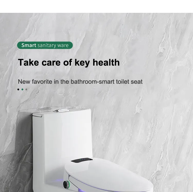 Smart Toilet Seat 1