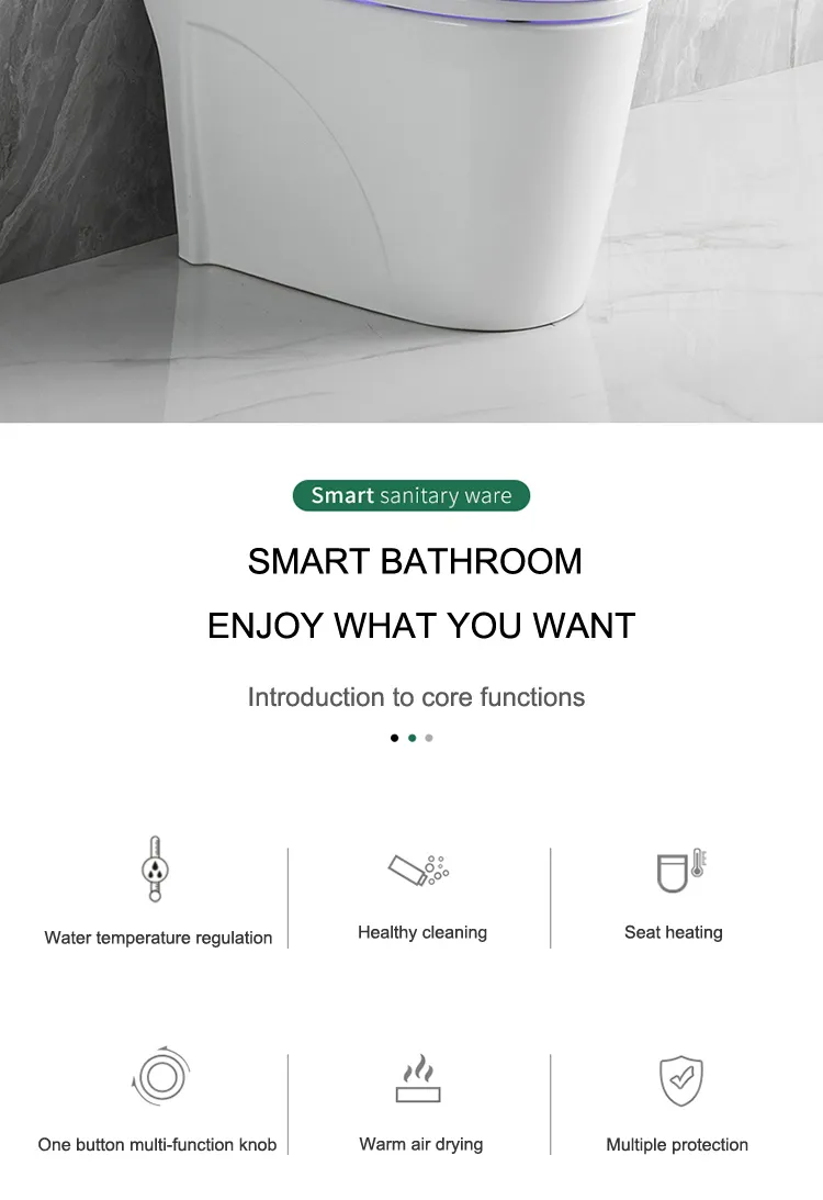 Smart Toilet Seat 2