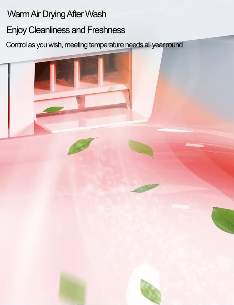 Smart Bidet Feature 3