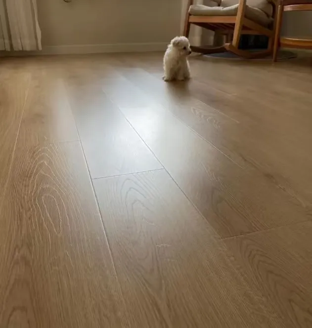 Commercial Application