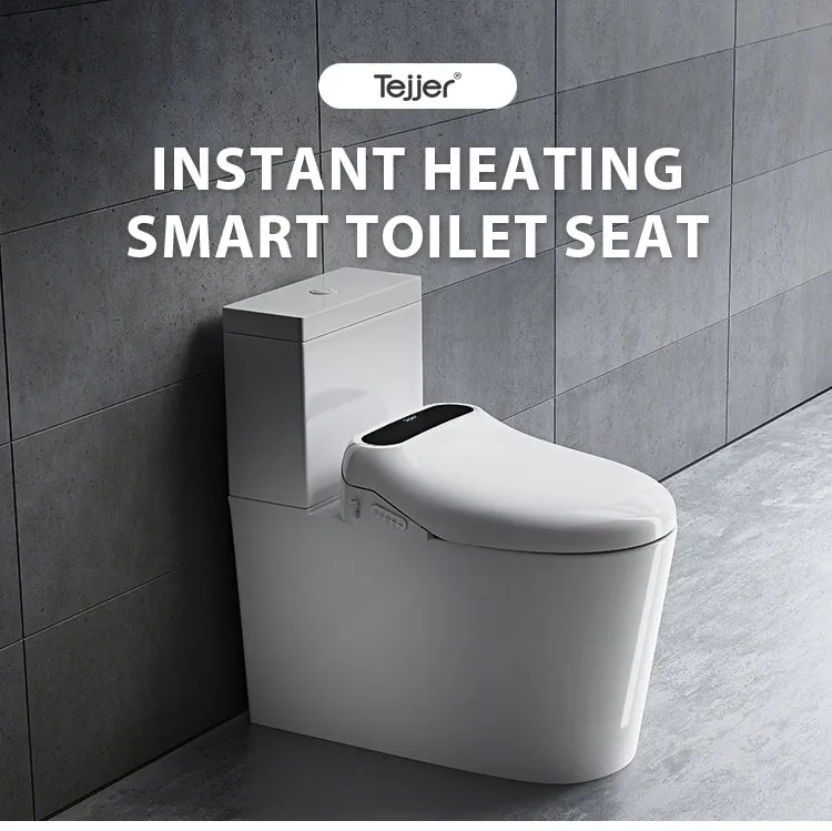 Electronic Bidet Seat