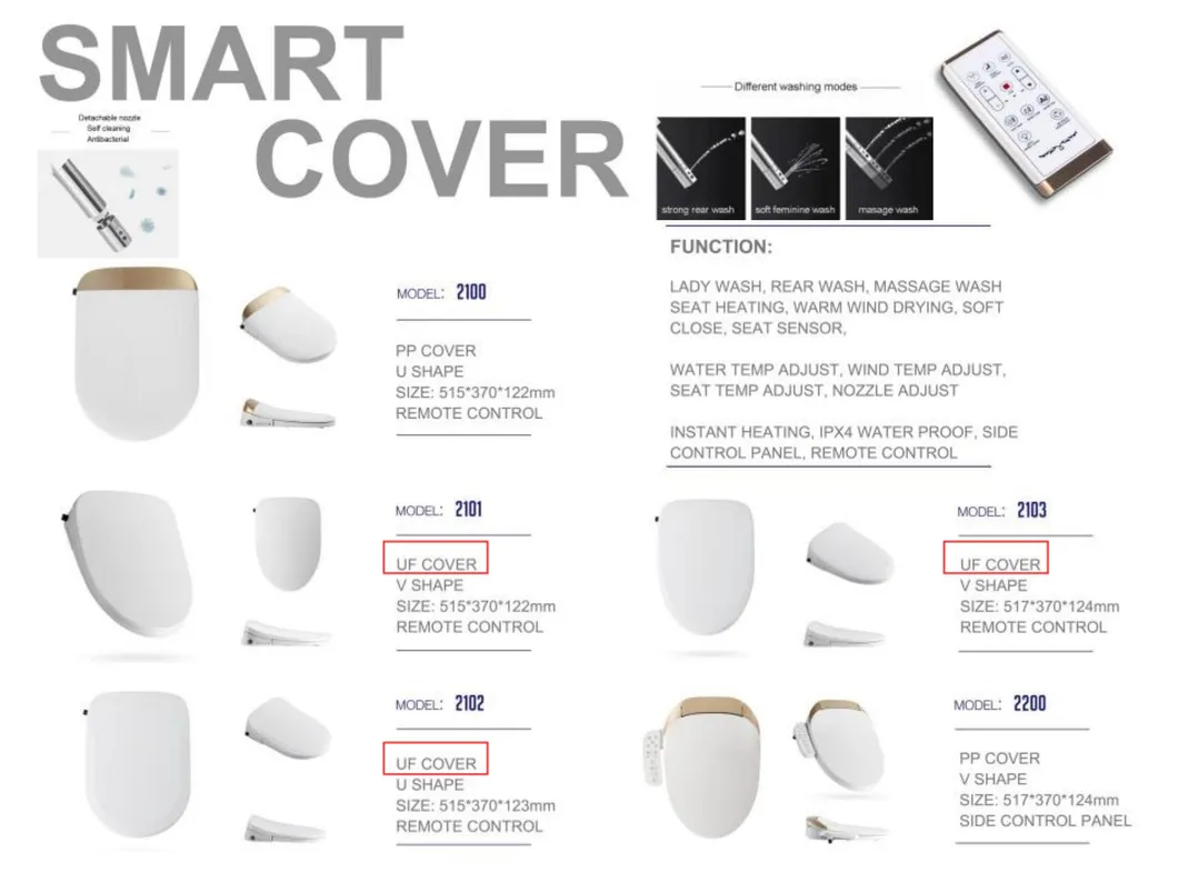 Smart Toilet Detail