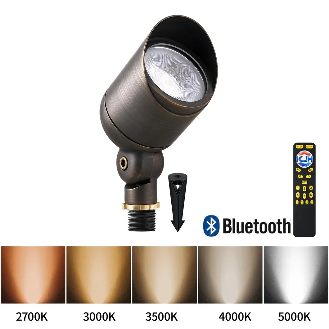 Landscape Lighting Detail