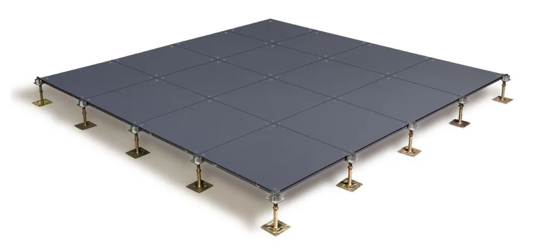 Raised Floor Guide 2